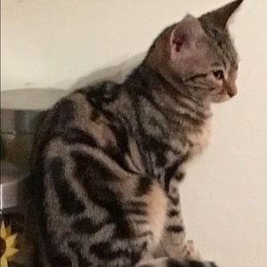 Meet your Posher, Connie