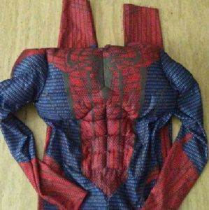 Boys Spiderman Costume