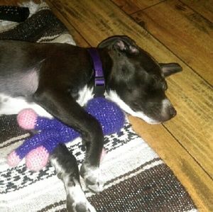 Meet your Posher, Brittany