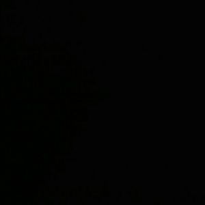 Meet your Posher, Luis