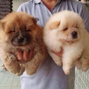 Meet your Posher, Melanie