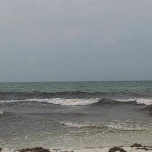 Meet your Posher, Brandy