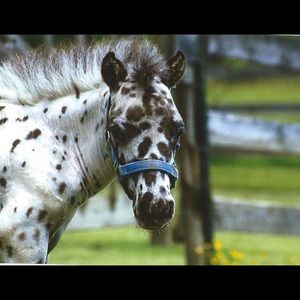 Meet your Posher, June