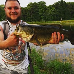 Meet your Posher, Evan