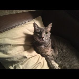 Meet your Posher, Lisa