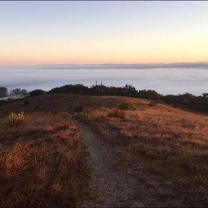 Meet your Posher, Deanna