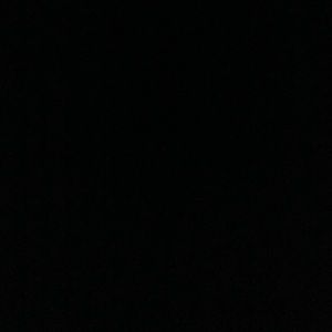 Meet your Posher, Shelby