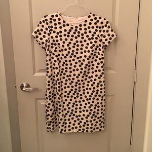 jcrew polka dot