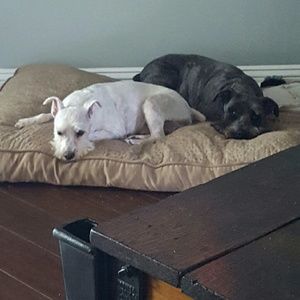 Meet your Posher, Tammy