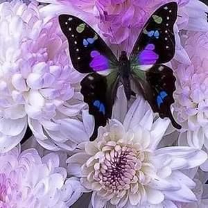 Meet your Posher, Katherine