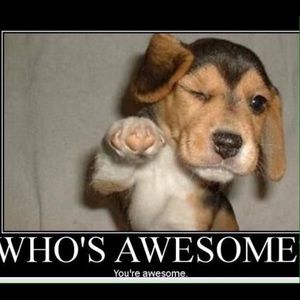 Meet your Posher, Waynesia