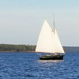 Meet your Posher, Cassidy