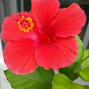 Meet your Posher, Raquel