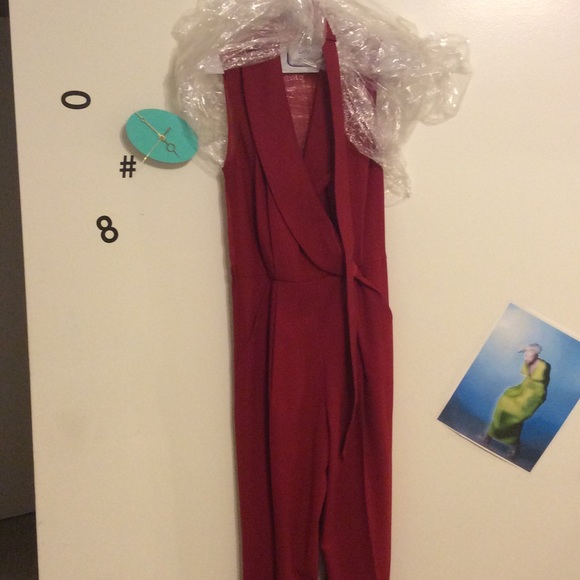 Rachel Zoe Belted Fitted Jumpsuit Pantsuit - Picture 3 of 5