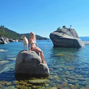 Meet your Posher, Robin