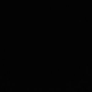 Meet your Posher, Tyreese