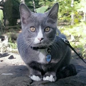 Meet your Posher, Gabrielle