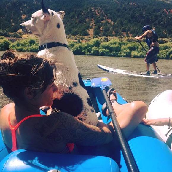 Meet your Posher, Lindsey - Picture 1 of 1