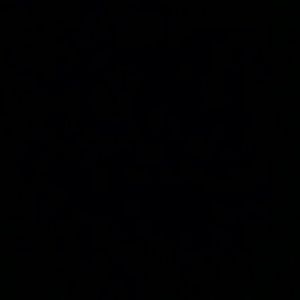 Meet your Posher, Jacqueline