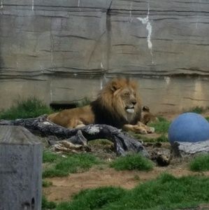 Meet your Posher, Hali