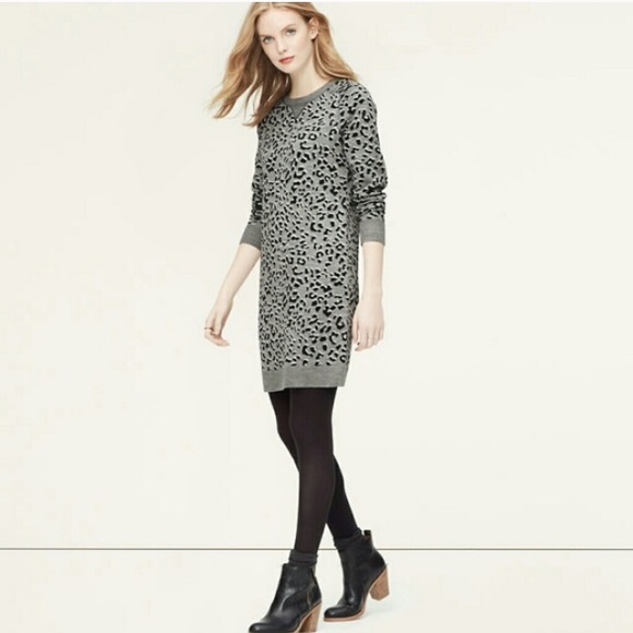 LOFT leopard print sweater dress