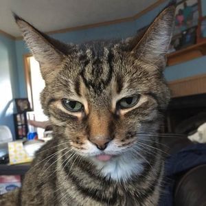 Meet your Posher, Jill