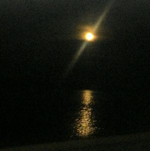 Meet your Posher, Teresa