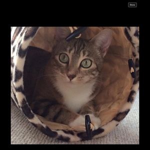 Meet your Posher, Sally