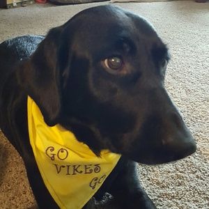 Meet your Posher, Lynn