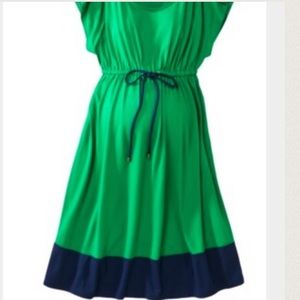 Liz Lange Maternity Dress