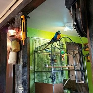 Meet your Posher, Leslie