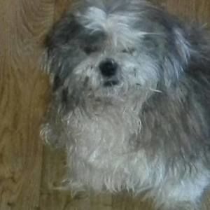 Meet your Posher, Denise