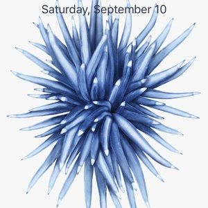 Meet your Posher, Yannick