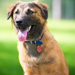 Meet your Posher, Marie