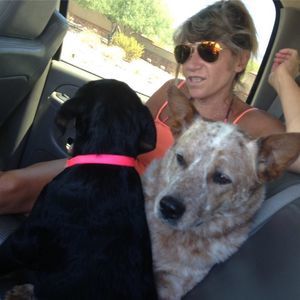 Meet your Posher, Jill