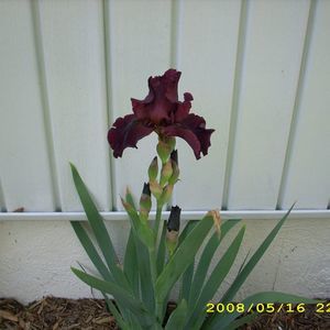 Meet your Posher, Janice