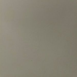 Meet your Posher, Nereyda