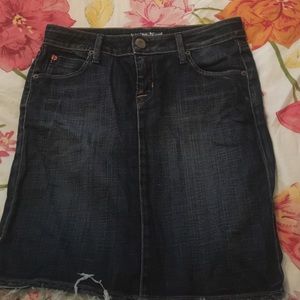 Hudson jean skirt