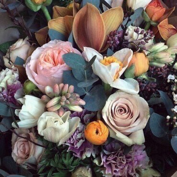 Meet your Posher, Jordan - Picture 1 of 1