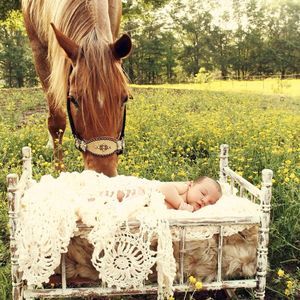 Meet your Posher, Lindsay