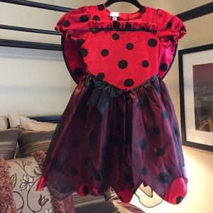 Koala Kids Adorable Ladybug Costume, size 5T