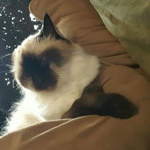 Meet your Posher, Crystal