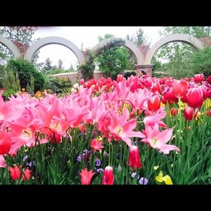 Meet your Posher, Grace