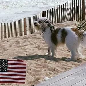 Meet your Posher, Scott