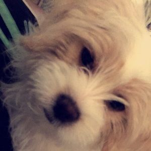 Meet your Posher, Yesenia