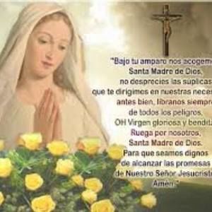 Meet your Posher, Norma