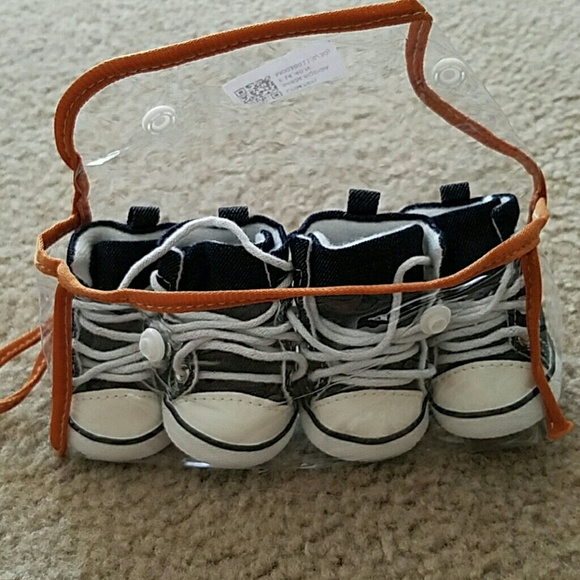 Pets converse looking shoes
