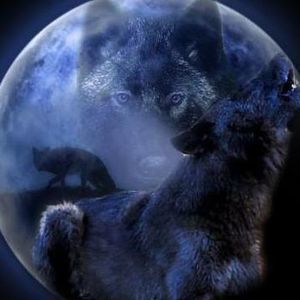 Meet your Posher, Tommy