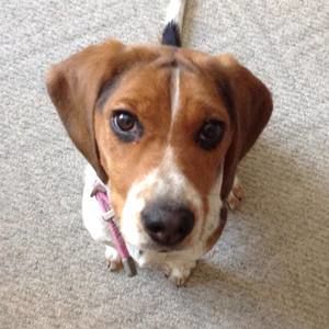 Meet your Posher, Cindy