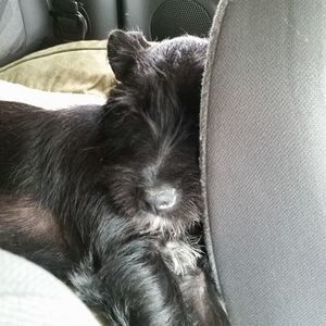 Meet your Posher, Vicki